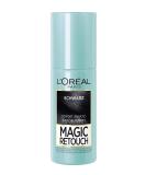 L'Or al Paris Magic Retouch 75ml Black Paint Sprays Pack of 1 black 75 ml (Pack of 1) - Buy Online on SooperMarket.com