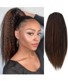 Allyreetress Highlight Yaki Drawstring Ponytail Extension for Black Women Kinky Staight Up Down Pony Tail Synthetic Hair Extensions 20 Inches 2 Clip in 20 inches HL4/30 - Buy Online on SooperMarket.com
