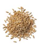 Organic Kamut Grain 2.5kg (BWFO) - Buy Online on SooperMarket.com