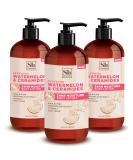 Watermelon & Ceramides Body Lotion 3 Pack 16 oz - Plumping Hydration for Dry Skin | Vegan & Cruelty-Free Moisturizer for Women and Men - Buy Online on SooperMarket.com