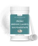 1 Pound SLSA Powder for Making Bath Bombs  Premium SLSA Sodium Lauryl Sulfoacetate Powder  Amazing Bubbles  Gentle on Skin  Suitable for Making Bath Bombs  Bath Truffles and More 1 Pound (Pack of 1) - Buy Online on SooperMarket.com