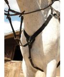 Rhinegold V-Check Cob Havana - Premium Quality Equestrian Gear | International Shipping Available - Buy Online on SooperMarket.com