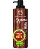 Moroccan Argan Oil Shampoo - Sulfate Free Hydrating Anti-Frizz Care for All Hair Types | Deep Moisturizing Treatment for Color Treated & Damaged Hair - Buy Online on SooperMarket.com