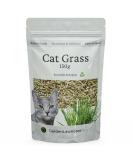 Cat Grass Seeds UK for Indoor & Outdoor Cats - Nutricious & Delicious Treat - Fast Growing - 150g Bulk Pack Makes 50 pots - Buy Online on SooperMarket.com