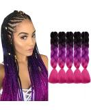 Buy Tess Braids Extensions 60cm - 5 Pack Jumbo Kanekalon Ombre Hair Braids (Black/Purple/Pink) | High-Quality 100g Box Braids for Stunning Styles - Buy Online on SooperMarket.com