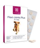 healthspan Flexi-Joints Plus For Dogs (120 Tablets) | 500mg Pure Glucosamine HCI Providing 40% More Glucosamine Than The Standard 2KCI Form | With Chondroitin | Beef Flavour - Buy Online on SooperMarket.com