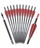 Carbon Crossbow Bolts 16 18 20 Inch Hunting Archery Arrows with 4" Vanes Replaced Arrowhead Tip (Pack of 12) - Buy Online on SooperMarket.com
