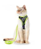 Supet Cat Dishes & Line Set - Perfect Feeding Solution for Kittens | International Shipping Available - Buy Online on SooperMarket.com