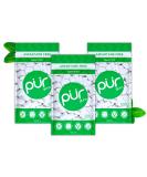 PUR GUM |Sugar -free chewing gum |100% xylitolVegan aspartam -free gluten -free & diabetic -friendly |Natural chewing gum with Spearmint taste 55 pieces (3 pack) Spearmint 165 pieces (1-pack) - Buy Online on SooperMarket.com