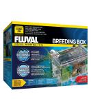 Fluval Medium Multi-Chamber Holding and Breeding Box - Ideal for Fish Breeding and Holding - Buy Online on SooperMarket.com