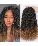 Passion Twist Hair Extensions - 12 Inch Crochet Braids (7 Pack) | T1B-27# | Bohemian Style | International Shipping Available - Buy Online on SooperMarket.com