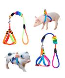 Buy Woyous Mini-Pig Crockery Set - Adjustable 2-Part Dishes for Small Pigs & Rabbits | Leash Included | Perfect for Walking & Jogging - Multi-Colored - Buy Online on SooperMarket.com
