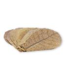 ProFlora Sea Almond Leaves | Organic Catappa Leaves for Aquariums | 12 XS Pieces (8 cm) - Natural Water Enhancer & Nutritional Supplement - Buy Online on SooperMarket.com