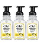 J.R. Watkins Foaming Hand Soap with Pump Dispenser, Moisturizing Foam Hand Wash, All Natural, Alcohol-Free, Cruelty-Free, USA Made, Lemon, 9 fl oz, 3 Pack Lemon 9 Fl Oz (Pack of 3) - Buy Online on SooperMarket.com