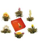 Creano Blooming Tea Sampler in a Classy Gift Box to Try - White Tea - Gift for Women Mom Tea Lovers - 6 Pieces (Pack of 1) - Buy Online on SooperMarket.com