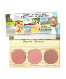 theBalm Highlighting Powder Cheek Palette  Face Sculpting Kit  Fade Resistant Blushes/Bronzers  Balm (Springs  Beach and Desert)  0.16 ounces - Buy Online on SooperMarket.com