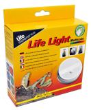 Buy Lucky Reptile LL-1 Life Light - Multicolor LED for Insect Terrariums Life Boxes & Life Pyramids | International Shipping - Buy Online on SooperMarket.com