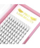 6D-C-0.07-11mm Short Stem Pre Made Fan Eyelash Extensions - Russian Volume Lashes 0.07 - 11mm Length - Buy Online on SooperMarket.com