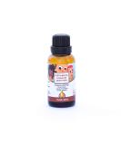 Punkin Butt Teething Oil - 1 oz | Natural Teething Relief for Babies | Chamomile, Sunflower, Peppermint & Clove Oil | Chemical-Free Baby Teething Solution - Buy Online on SooperMarket.com