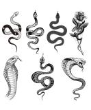 Tazimi Snake Temporary Tattoos  6 Sheets Black Snake Tattoos For Women Men  Body Art Decorations Black Fake Tattoos Stickers. - Buy Online on SooperMarket.com