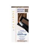 Clairol Root Touch-Up Temporary Concealing Powder, Medium Brown Hair Color, Pack of 1 1 Count (Pack of 1) Powder - Buy Online on SooperMarket.com