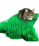 CATMAT - Cat Paper Grass Tissue Paper Cat Mat Cat Play Mat Cat Play Grass Paper Cat Grass Fake Cat Toy Grass Cat Mat Tissue Paper Grass for Cats Cat Grass for Indoor Cats - Green (Pack of 2) - Buy Online on SooperMarket.com