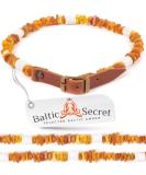 Baltic Secret Bank chain dog with em ceramic pipes - effective microorganisms - amber necking dog dogs - amber - tick protection 20-25 cm - Buy Online on SooperMarket.com