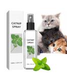 100ml Herbal Cat Joy Spray Herbal Cat Joy Celery Pets Catnip Spray for Cats Cat Scratching Spray Mist Cat Training Spray with Catnip Catnip Spray for Indoor Cats Cat Nips Spray for Cat Anxiety Relief - Buy Online on SooperMarket.com