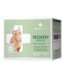 Recoactiv Recovery immune for cats 3 x 90 ml high-caloric diet all-in feed in the event of malnutrition and in the convalescence weight gain and in the case of food refusal 90 ml (3-pack) - Buy Online on SooperMarket.com