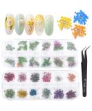 Dokpav 2 Boxes Dried Flowers for Nail Art - 24PC Green Leaves & Real Flower Set with Curved Tweezers | 3D Nail Art Accessories for Stunning Nail Decor - Buy Online on SooperMarket.com