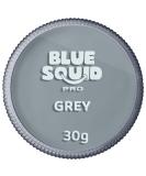 Blue Squid PRO Face Paint - Classic Grey 30g - Water Activated Professional Face & Body Paint for Adults & Kids - Halloween SFX Makeup - Buy Online on SooperMarket.com
