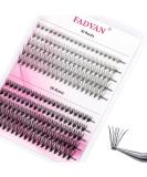 D.I.Y. Eyelash Extension Kit | 200 Roots Lash Clusters | D Curl | 8-16mm | Mixed Tray | Melt Flare | Natural Individual Lashes | Reusable False Lashes | 10D+20D Roots | 10P+20P Cluster | 0.07-D | 8-16mm - Buy Online on SooperMarket.com