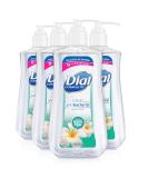 Dial Antibacterial Liquid Hand Soap, White Tea, 11 Ounce (Pack of 4) Tea Tree 11 Fl Oz (Pack of 4) - Buy Online on SooperMarket.com
