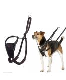 Halti no Pull Anti-Zug dishes size small- prevents your dog from pulling on the leash padded chest and bying belt reflective belt material simple adjustment and use - Buy Online on SooperMarket.com