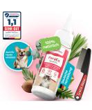 Powerpets - Spot on tick protection for cats including free flea comb 100% natural and effective against ticks fleas & hair lines parasite drops against ticks for cats for the whole season - Buy Online on SooperMarket.com