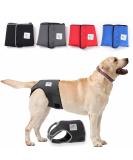 Buy High-Quality Financial Trousers for Dogs 2.0 - Premium Neoprene Diapers for Males - Optimal Airflow No Rod Threading - Large Blue - Buy Online on SooperMarket.com