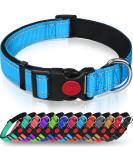 Taglory Soft Padded Neoprene Dog Collar for Medium Dogs - Adjustable Reflective Sky Blue - Perfect for Training - 1-Pack - Buy Online on SooperMarket.com