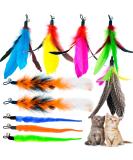10-Piece Natural Bird Feathers Cat Toy Wand Refills - Replacement Feathers for Interactive Play - Buy Online on SooperMarket.com