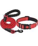 Haapaw Reflecting Dog Collar - Padded Neoprene Breathable Nylon for Small & Medium Dogs - Red (M 1-Pack) - Buy Online on SooperMarket.com