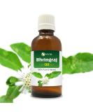 Pure Salvia Bhringraj Oil (Eclipta alba) - 100% Natural Cold Pressed Essential Oil for Aromatherapy Skin & Hair Care - Therapeutic Grade 3.38 fl oz - Buy Online on SooperMarket.com