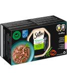 Sheba Nature's Collection in Sauce - 32 x 85g Finest Katznass Futter - MSC Certified - Premium Variety Pack (2.72 kg) - Buy Online on SooperMarket.com