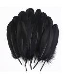Ballinger Black Craft Feathers Bulk - 120Pcs 6-8 Inch Real Goose Feathers for DIY Halloween Decorations  Jewelry Cosplay and Clothing Accessories - Buy Online on SooperMarket.com