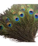 Piokio 50 pcs Natural Peacock Feathers in Bulk 10-12 inch(25-30 cm) Bulk for DIY Craft  Wedding  Mardi Gras Decoration 10-12 Inch(50PCS) - Buy Online on SooperMarket.com