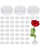 4 Pieces Plastic Flower Holder Pin Holder Clear Flower Arranger Japanese Decorations Flower Fixed Tools Floral Arrangement for Flower Arrangement  Plant Fixation  Plant Decoration(4 Pieces) - Buy Online on SooperMarket.com