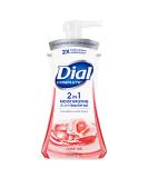 Dial Complete 2 in 1 Moisturizing & Antibacterial Foaming Hand Wash  Rose Oil  7.5 Ounce - Buy Online on SooperMarket.com
