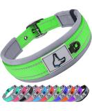 Joytale Softly Padded Neoprene Dog Collar for Small Dogs - Reflective Nylon Wide Collar in Green - 1 Pack - Buy Online on SooperMarket.com