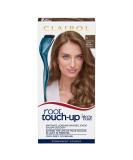 Clairol Root Touch-Up Permanent Hair Dye 6 Light Brown 6 Light Brown 1 count (Pack of 1) Single - Buy Online on SooperMarket.com