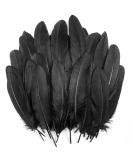 120Pcs 6-8 Inch Black Goose Feathers for DIY Halloween Decor, Cosplay & Crafts - Buy Online on SooperMarket.com