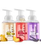 Lovery Foaming Hand Soap 3-Pack with Aloe Vera & Essential Oils - Alcohol-Free Moisturizing Hand Wash in Honey Almond, Pomegranate, Peach, Lavender, and Jasmine Scents - Buy Online on SooperMarket.com