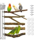 5 PCS Bird Parrot Perches for Cage 9.84 inches Natural Wood Perch Platform Stand for Parrots Birds Cage Parakeets Cockatiels Conures Cages Accessories (5 PCS) - Buy Online on SooperMarket.com